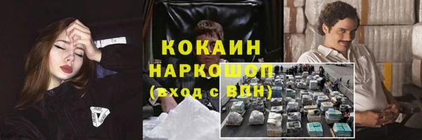 ГАЛЛЮЦИНОГЕННЫЕ ГРИБЫ Заводоуковск