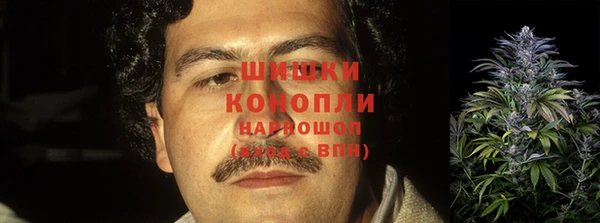 ГАЛЛЮЦИНОГЕННЫЕ ГРИБЫ Заводоуковск