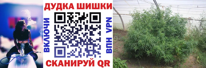 Марихуана конопля Жуковский